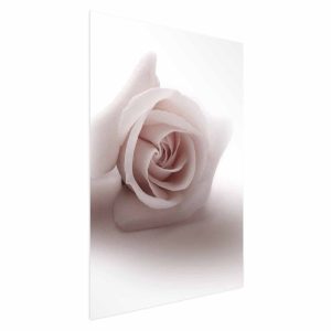 Plakat Różany cień 29,7×42 cm 586501