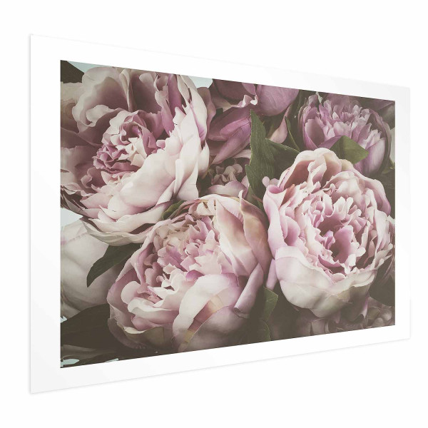 Plakat Różowe piwonie 30x21 cm 581518