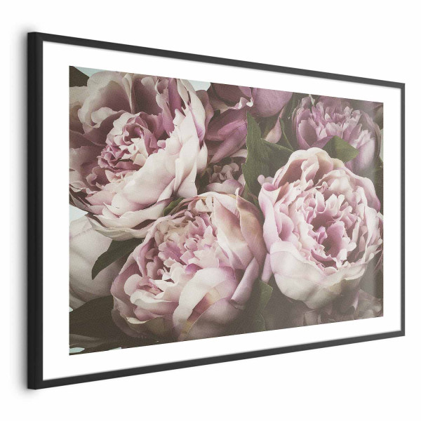 Plakat Różowe piwonie 30x21 cm 589634