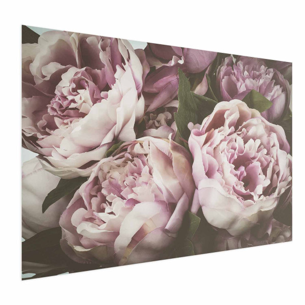 Plakat Różowe piwonie 42x29,7 cm 583149