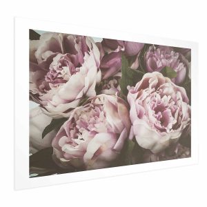 Plakat Różowe piwonie 42×29,7 cm 587550