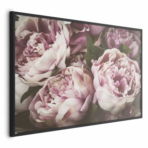 Plakat Różowe piwonie 42x29,7 cm 577109
