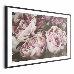 Plakat Różowe piwonie 90×60 cm 589851