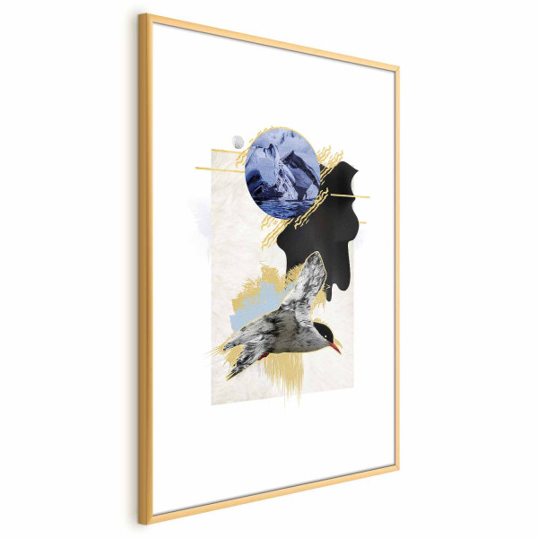 Plakat Rybitwa antarktyczna 21x30 cm 578280