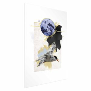 Plakat Rybitwa antarktyczna 29,7×42 cm 578359
