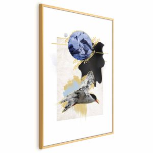 Plakat Rybitwa antarktyczna 29,7×42 cm 578303