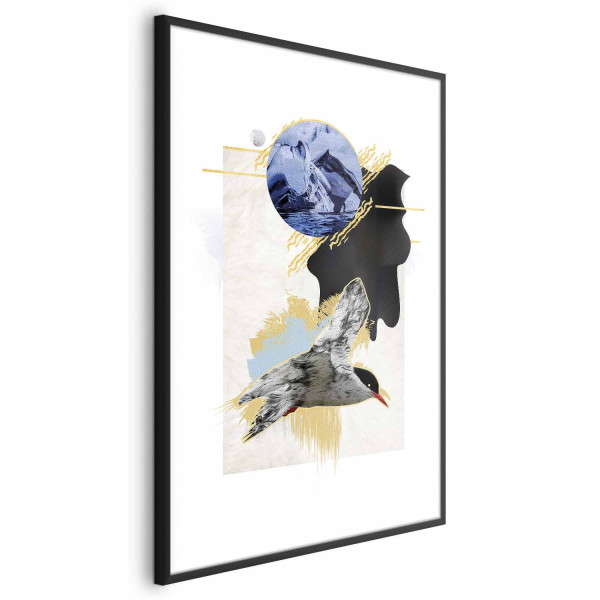 Plakat Rybitwa antarktyczna 29,7x42 cm 590342