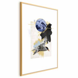 Plakat Rybitwa antarktyczna 40×60 cm 588632