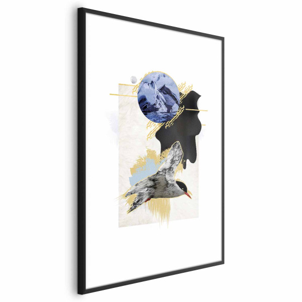 Plakat Rybitwa antarktyczna 40x60 cm 590422