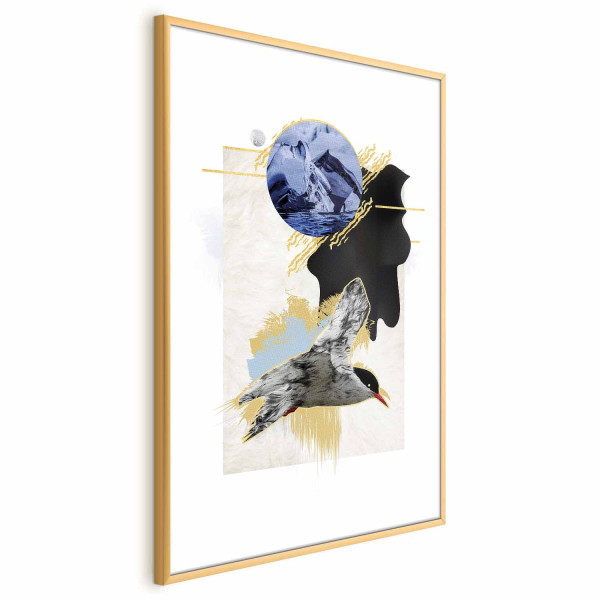 Plakat Rybitwa antarktyczna 60x90 cm 591273