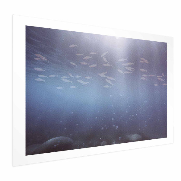 Plakat Rybki w głębinach 30x21 cm 581340