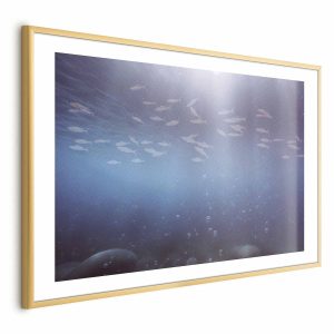 Plakat Rybki w głębinach 60×40 cm 579566
