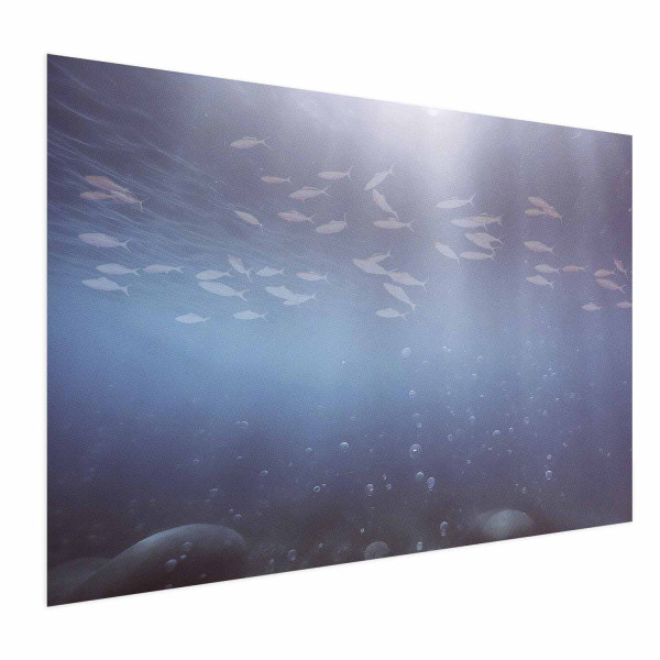 Plakat Rybki w głębinach 90x60 cm 578203