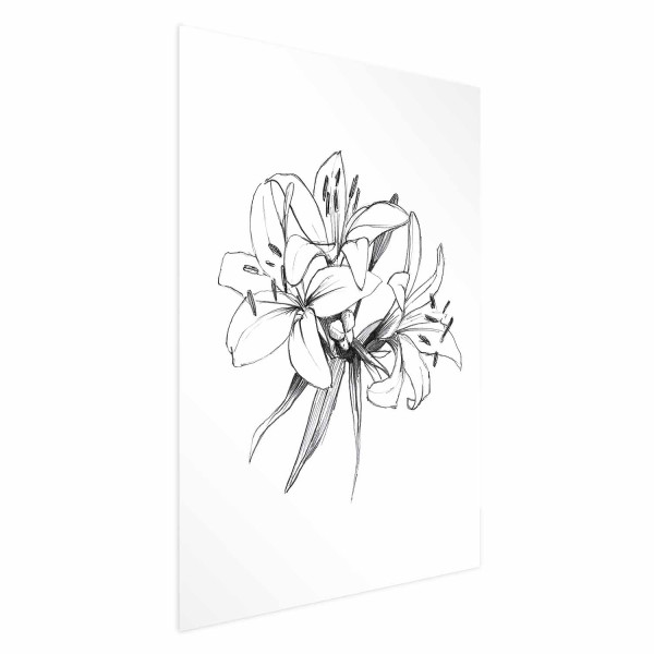 Plakat Rysowane kwiaty 40x60 cm 589274