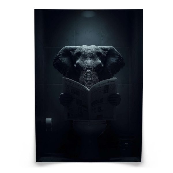 Plakat Słoń z gazetą 50x70cm 991921