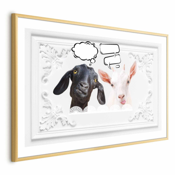 Plakat Śmieszne kozy 60x40 cm 584041