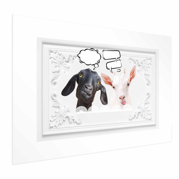 Plakat Śmieszne kozy 60x40 cm 590824