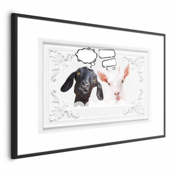 Plakat Śmieszne kozy 90x60 cm 581084