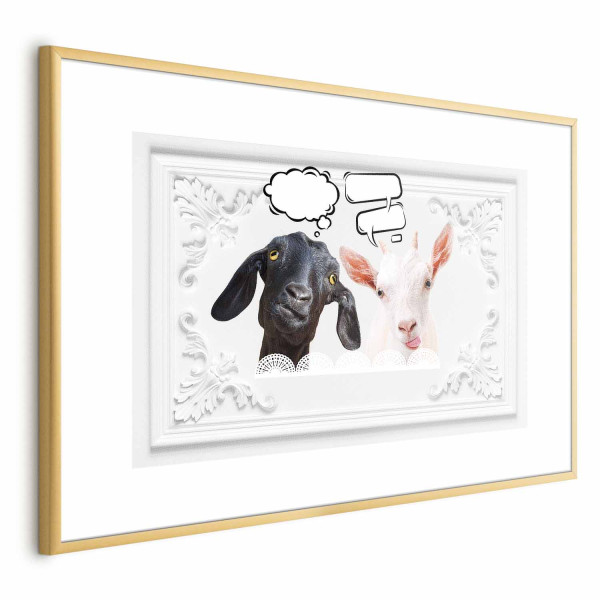 Plakat Śmieszne kozy 90x60 cm 584444