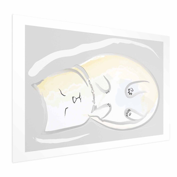 Plakat Śpiący kotek 60x40 cm 590353