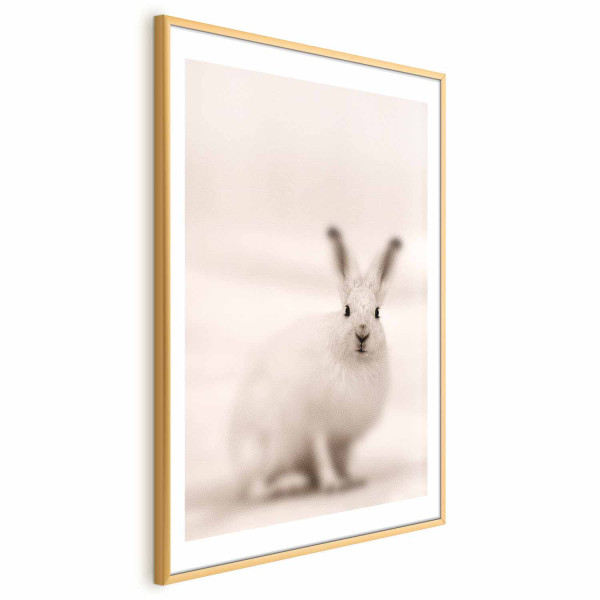 Plakat Strachliwe spojrzenie 21x30 cm 580714