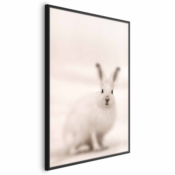 Plakat Strachliwe spojrzenie 29,7x42 cm 583096