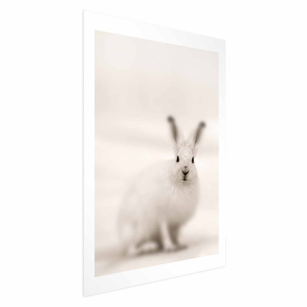 Plakat Strachliwe spojrzenie 29,7x42 cm 580622