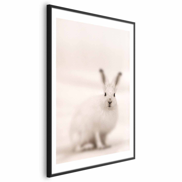 Plakat Strachliwe spojrzenie 60x90 cm 578297