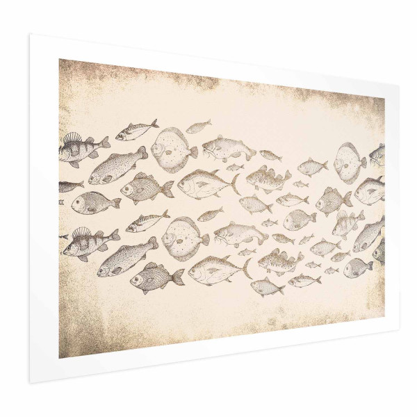 Plakat Subtelne rybki 60x40 cm 588899