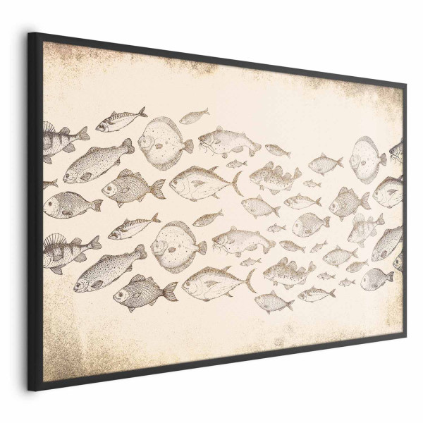 Plakat Subtelne rybki 60x40 cm 590196