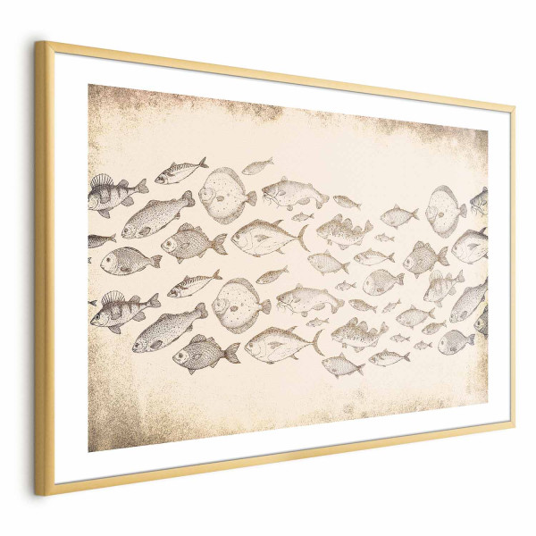 Plakat Subtelne rybki 90x60 cm 582118