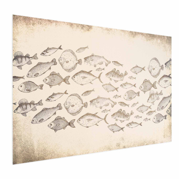 Plakat Subtelne rybki 90x60 cm 578462