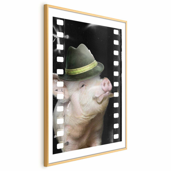 Plakat Świnia z wąsami 60x90 cm 585809