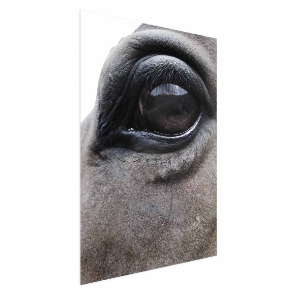 Plakat Szczere oczy 21x30 cm 584244