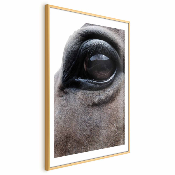 Plakat Szczere oczy 21x30 cm 588089