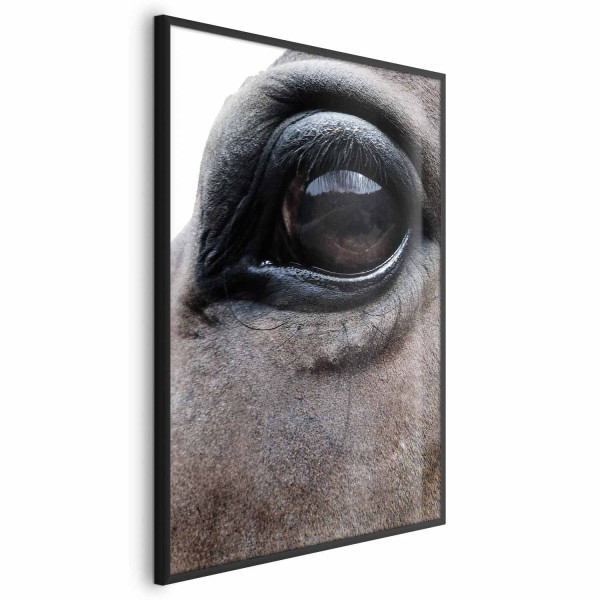 Plakat Szczere oczy 29,7x42 cm 581437
