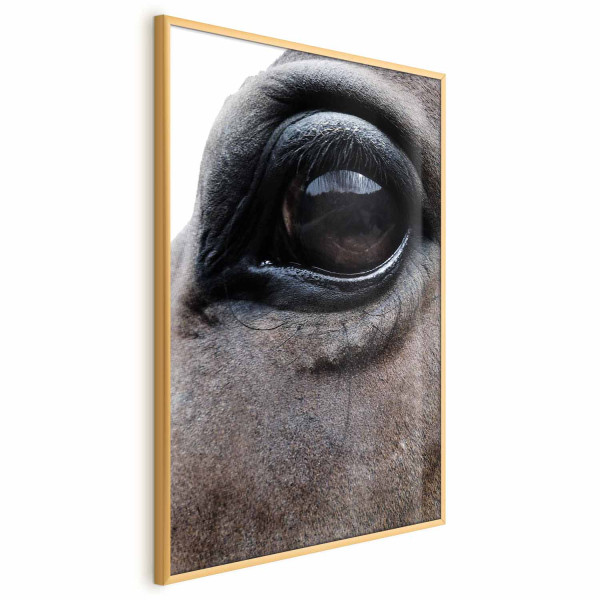 Plakat Szczere oczy 29,7x42 cm 591250