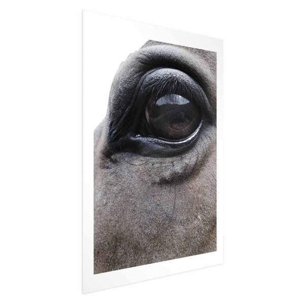 Plakat Szczere oczy 40x60 cm 590971