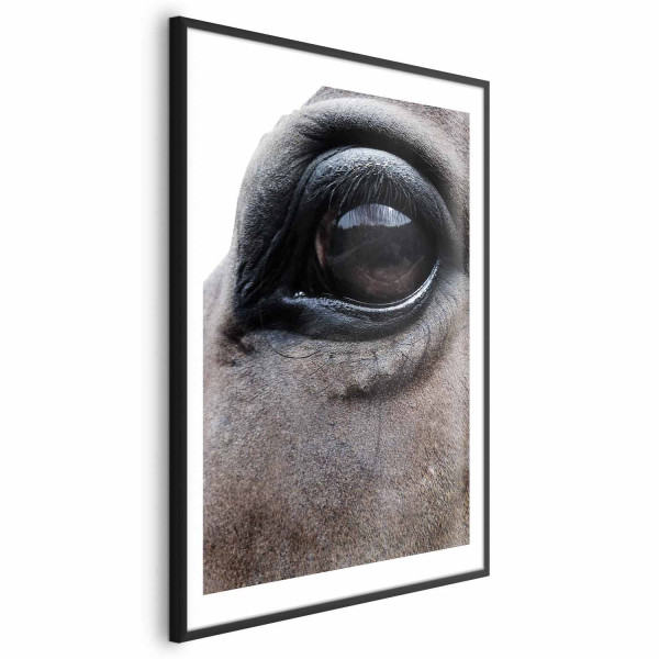 Plakat Szczere oczy 60x90 cm 581216
