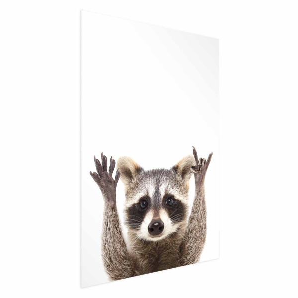 Plakat Szop 40x60 cm 589187
