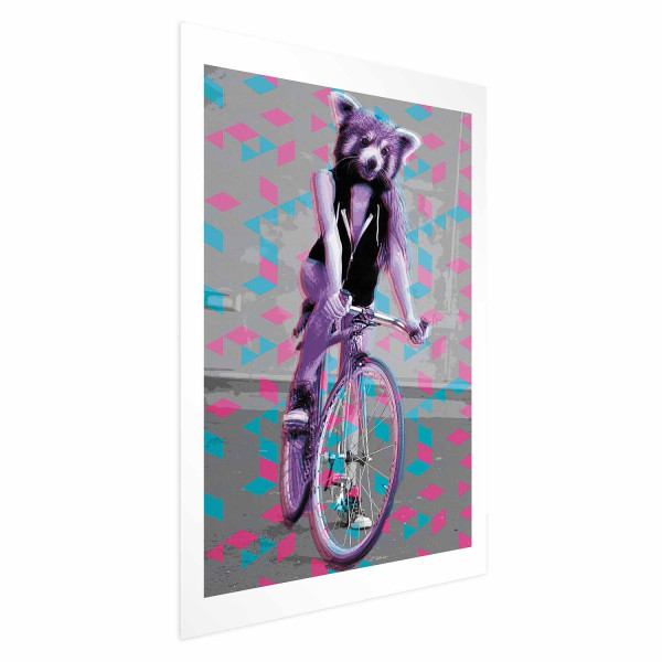 Plakat Szop na rowerze 60x90 cm 581190