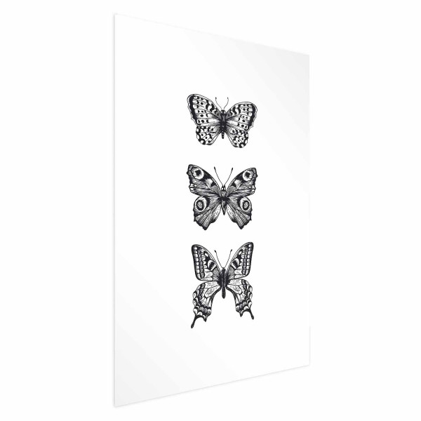 Plakat Trzy motyle 21x30 cm 586966