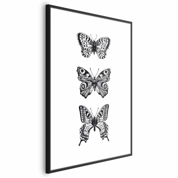 Plakat Trzy motyle 29,7x42 cm 589202