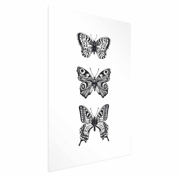 Plakat Trzy motyle 29,7x42 cm 589835