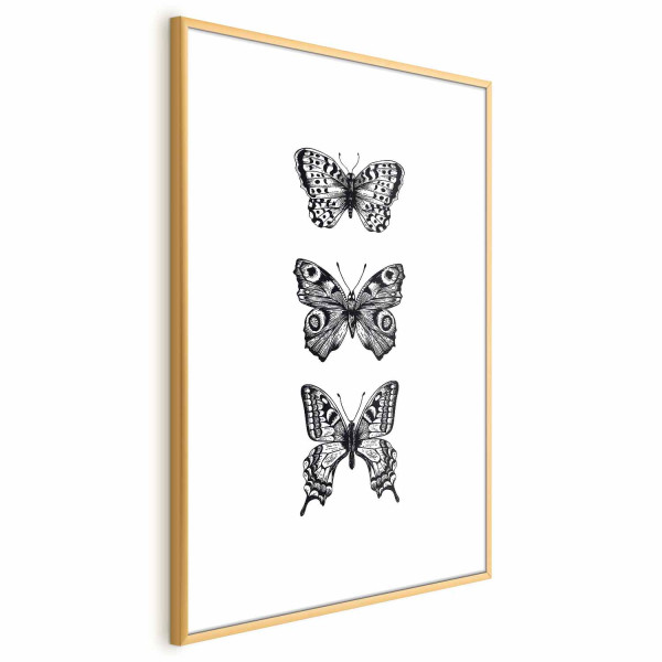 Plakat Trzy motyle 40x60 cm 585252