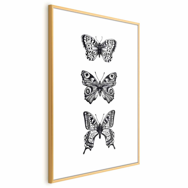 Plakat Trzy motyle 60x90 cm 586541
