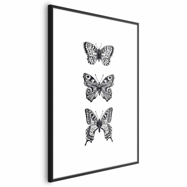Plakat Trzy motyle 60x90 cm 577170