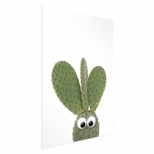 Plakat Uszaty kaktus 21x30 cm 581294