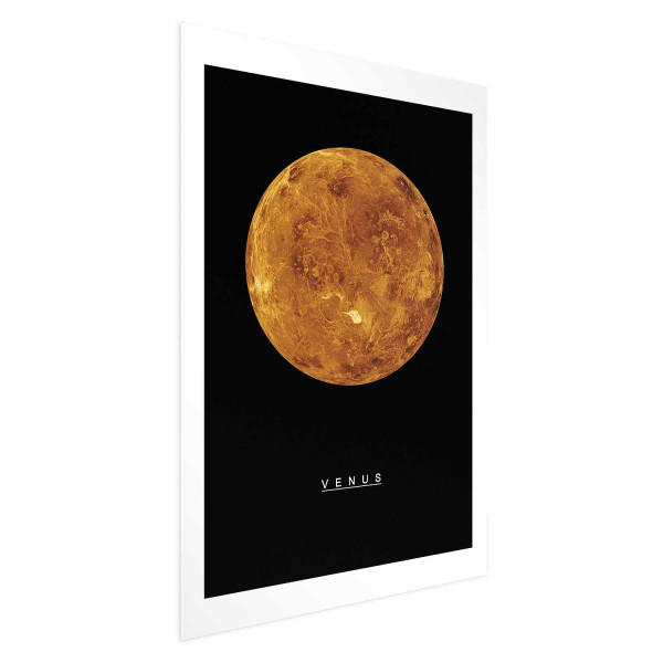 Plakat Wenus 29,7x42 cm 585216