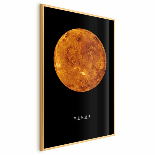 Plakat Wenus 29,7x42 cm 587683